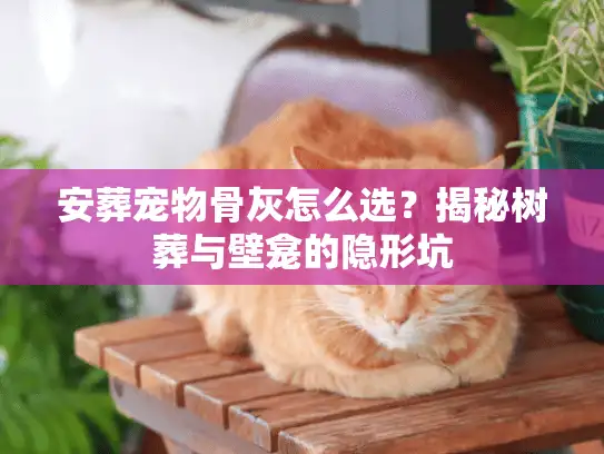 安葬宠物骨灰怎么选？揭秘树葬与壁龛的隐形坑