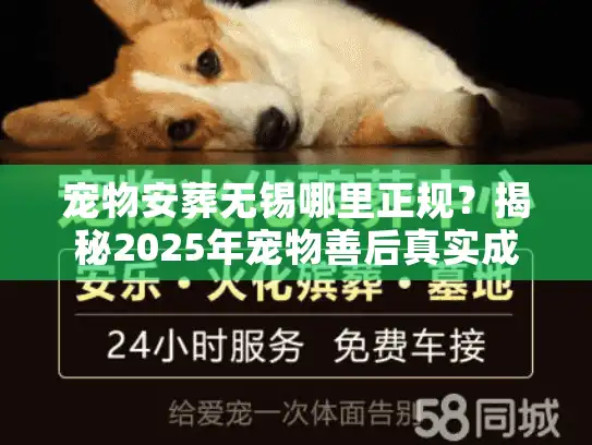宠物安葬无锡哪里正规？揭秘2025年宠物善后真实成本与避坑门道