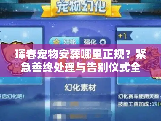 珲春宠物安葬哪里正规？紧急善终处理与告别仪式全流程解析