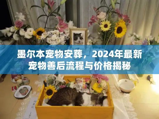 墨尔本宠物安葬，2024年最新宠物善后流程与价格揭秘