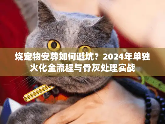 烧宠物安葬如何避坑？2024年单独火化全流程与骨灰处理实战