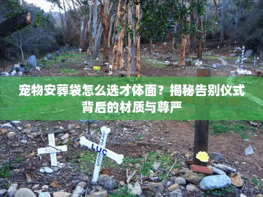宠物安葬袋怎么选才体面？揭秘告别仪式背后的材质与尊严