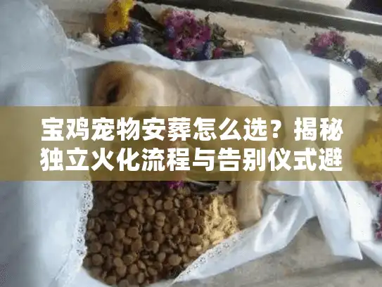 宝鸡宠物安葬怎么选？揭秘独立火化流程与告别仪式避坑内幕