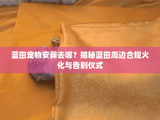 蓝田宠物安葬去哪？揭秘蓝田周边合规火化与告别仪式