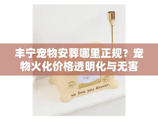 丰宁宠物安葬哪里正规？宠物火化价格透明化与无害化处理深度解析