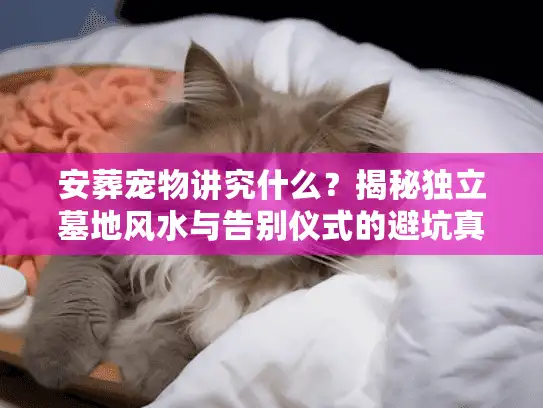 安葬宠物讲究什么？揭秘独立墓地风水与告别仪式的避坑真相