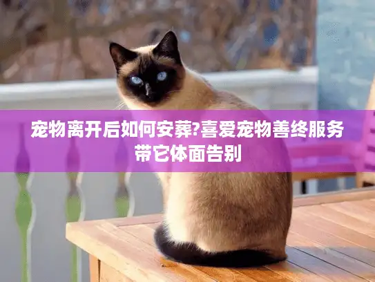 宠物离开后如何安葬?喜爱宠物善终服务带它体面告别