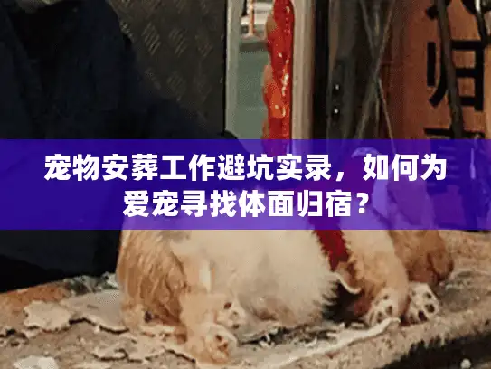 宠物安葬工作避坑实录，如何为爱宠寻找体面归宿？