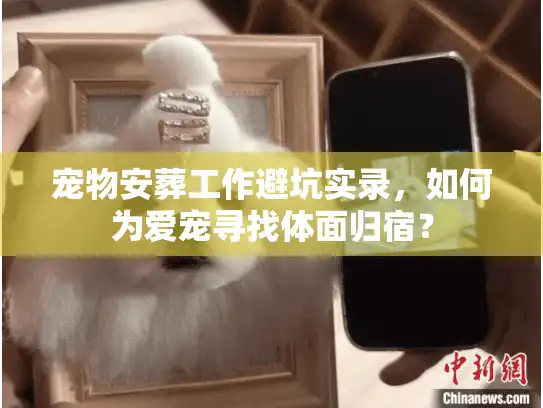 宠物安葬工作避坑实录，如何为爱宠寻找体面归宿？