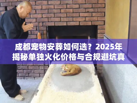 成都宠物安葬如何选？2025年揭秘单独火化价格与合规避坑真相