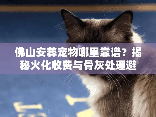 佛山安葬宠物哪里靠谱？揭秘火化收费与骨灰处理避坑门道