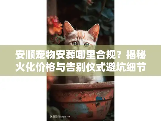 安顺宠物安葬哪里合规？揭秘火化价格与告别仪式避坑细节