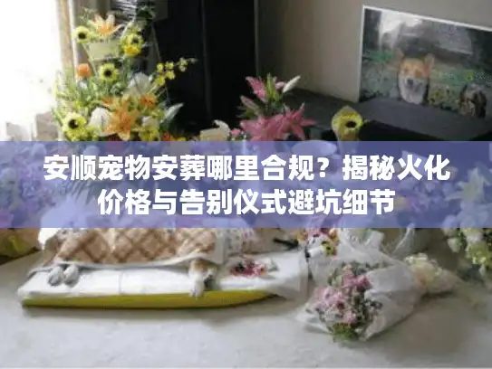 安顺宠物安葬哪里合规？揭秘火化价格与告别仪式避坑细节