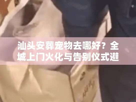 汕头安葬宠物去哪好？全城上门火化与告别仪式避坑实录