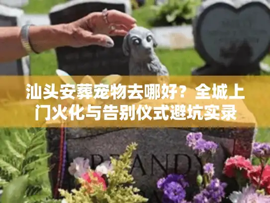 汕头安葬宠物去哪好？全城上门火化与告别仪式避坑实录