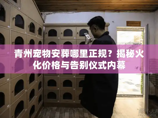 青州宠物安葬哪里正规？揭秘火化价格与告别仪式内幕