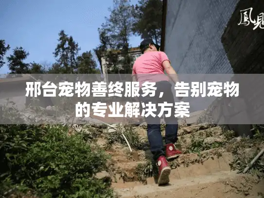 邢台宠物善终服务，告别宠物的专业解决方案