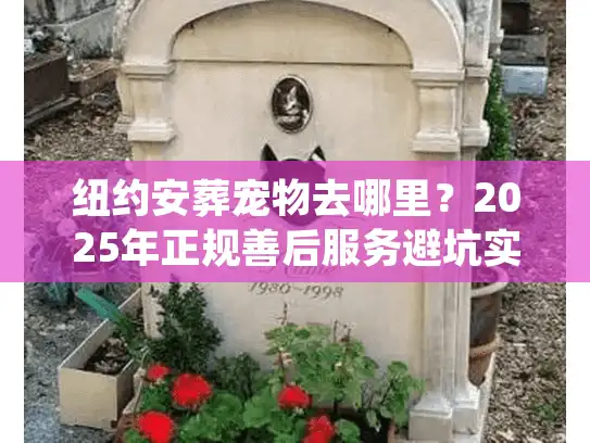 纽约安葬宠物去哪里？2025年正规善后服务避坑实录