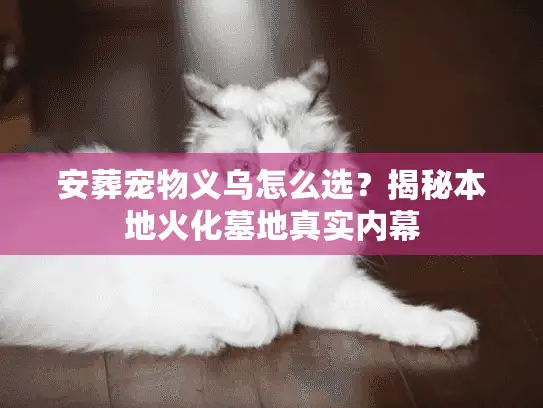 安葬宠物义乌怎么选？揭秘本地火化墓地真实内幕
