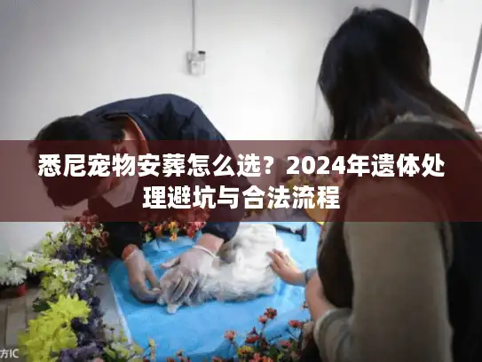 悉尼宠物安葬怎么选？2024年遗体处理避坑与合法流程