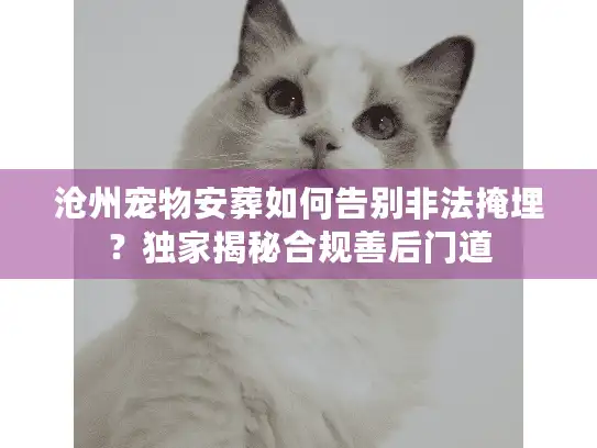 沧州宠物安葬如何告别非法掩埋？独家揭秘合规善后门道