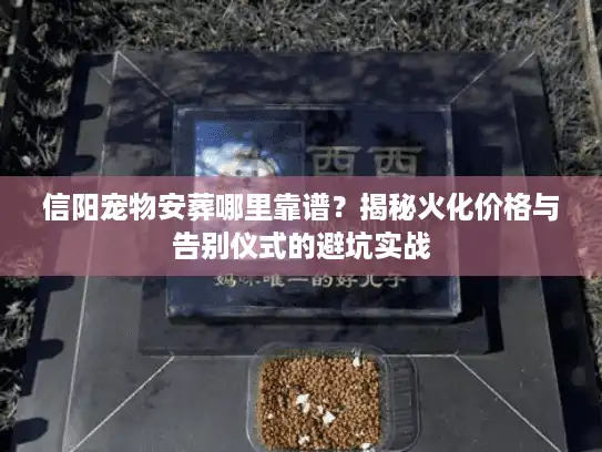 信阳宠物安葬哪里靠谱？揭秘火化价格与告别仪式的避坑实战
