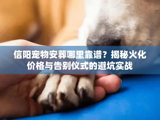 信阳宠物安葬哪里靠谱？揭秘火化价格与告别仪式的避坑实战