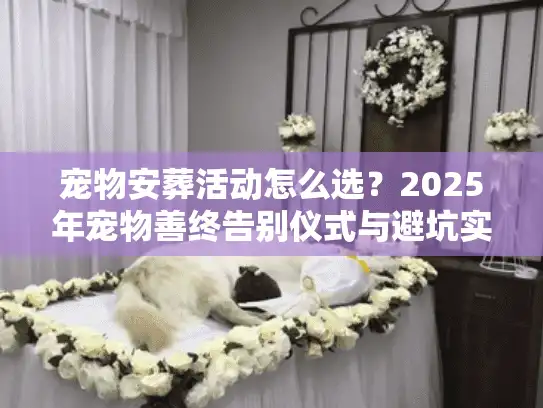 宠物安葬活动怎么选？2025年宠物善终告别仪式与避坑实录