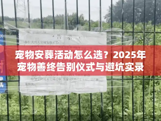 宠物安葬活动怎么选？2025年宠物善终告别仪式与避坑实录