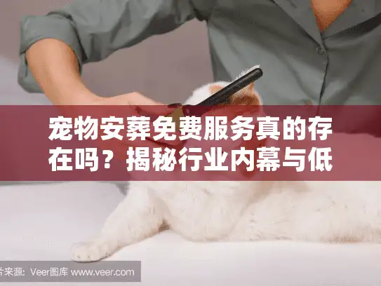宠物安葬免费服务真的存在吗？揭秘行业内幕与低成本替代方案