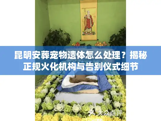 昆明安葬宠物遗体怎么处理？揭秘正规火化机构与告别仪式细节