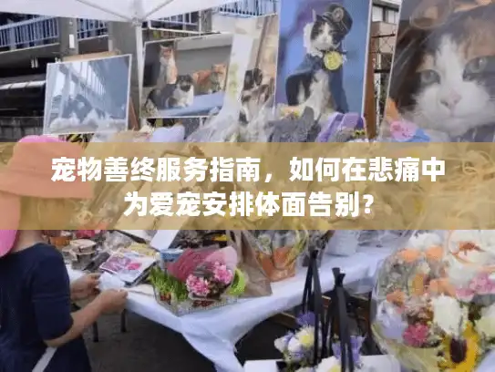 宠物善终服务指南，如何在悲痛中为爱宠安排体面告别？