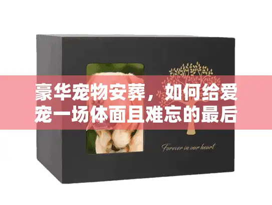豪华宠物安葬，如何给爱宠一场体面且难忘的最后告别？