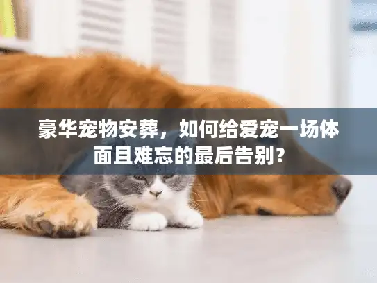 豪华宠物安葬，如何给爱宠一场体面且难忘的最后告别？