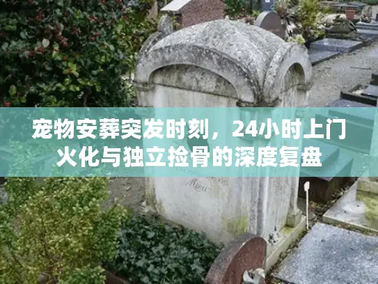 宠物安葬突发时刻，24小时上门火化与独立捡骨的深度复盘