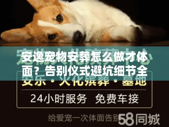 安逸宠物安葬怎么做才体面？告别仪式避坑细节全解
