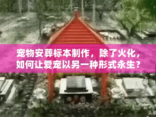 宠物安葬标本制作，除了火化，如何让爱宠以另一种形式永生？