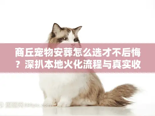 商丘宠物安葬怎么选才不后悔？深扒本地火化流程与真实收费