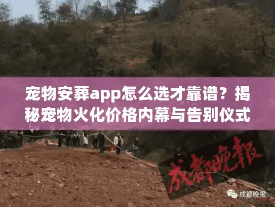 宠物安葬app怎么选才靠谱？揭秘宠物火化价格内幕与告别仪式
