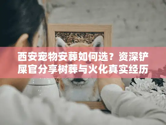西安宠物安葬如何选？资深铲屎官分享树葬与火化真实经历