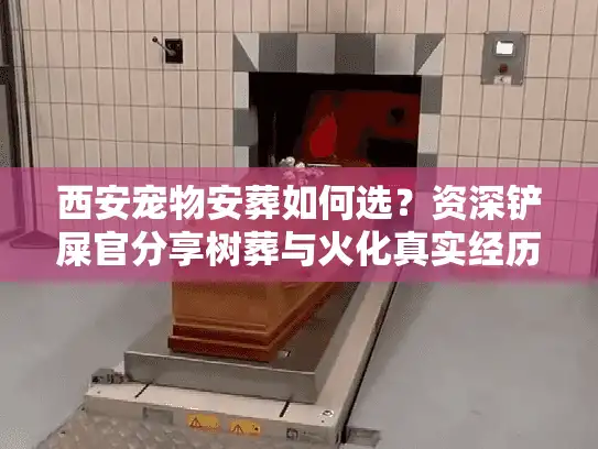 西安宠物安葬如何选？资深铲屎官分享树葬与火化真实经历