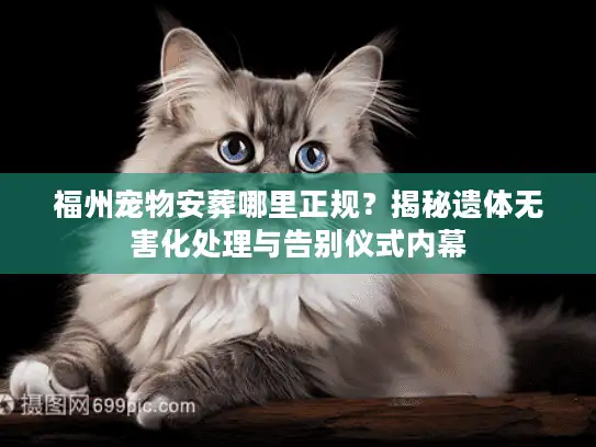 福州宠物安葬哪里正规？揭秘遗体无害化处理与告别仪式内幕