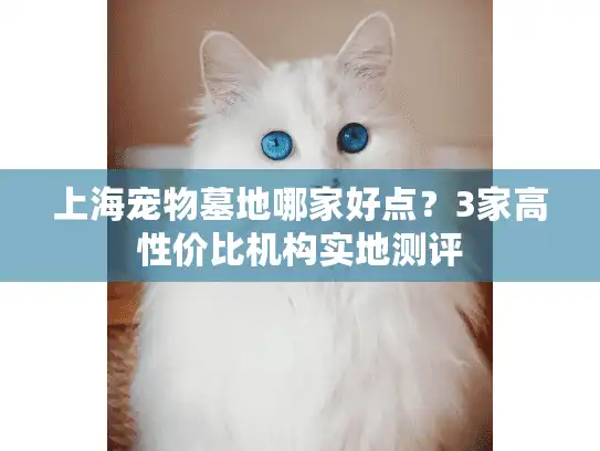 上海宠物墓地哪家好点？3家高性价比机构实地测评