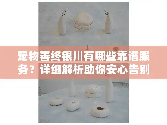 宠物善终银川有哪些靠谱服务？详细解析助你安心告别爱宠