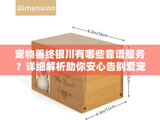 宠物善终银川有哪些靠谱服务？详细解析助你安心告别爱宠