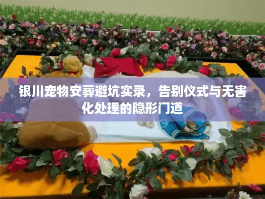 银川宠物安葬避坑实录，告别仪式与无害化处理的隐形门道