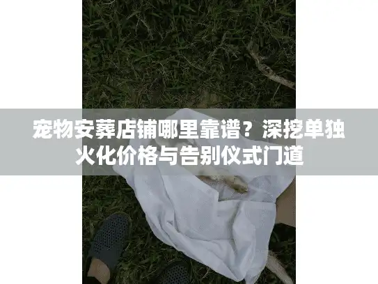宠物安葬店铺哪里靠谱？深挖单独火化价格与告别仪式门道