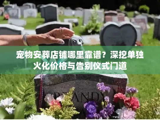 宠物安葬店铺哪里靠谱？深挖单独火化价格与告别仪式门道