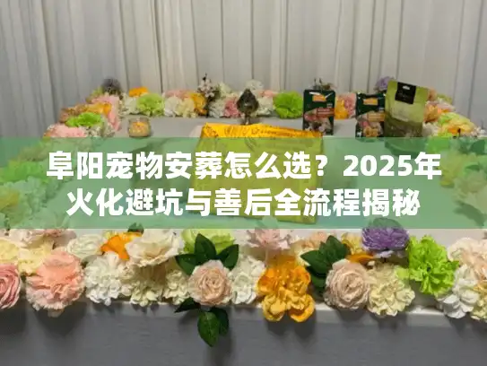 阜阳宠物安葬怎么选？2025年火化避坑与善后全流程揭秘