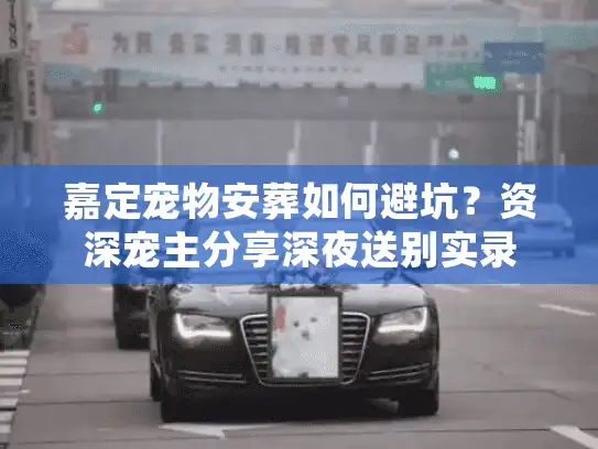 嘉定宠物安葬如何避坑？资深宠主分享深夜送别实录